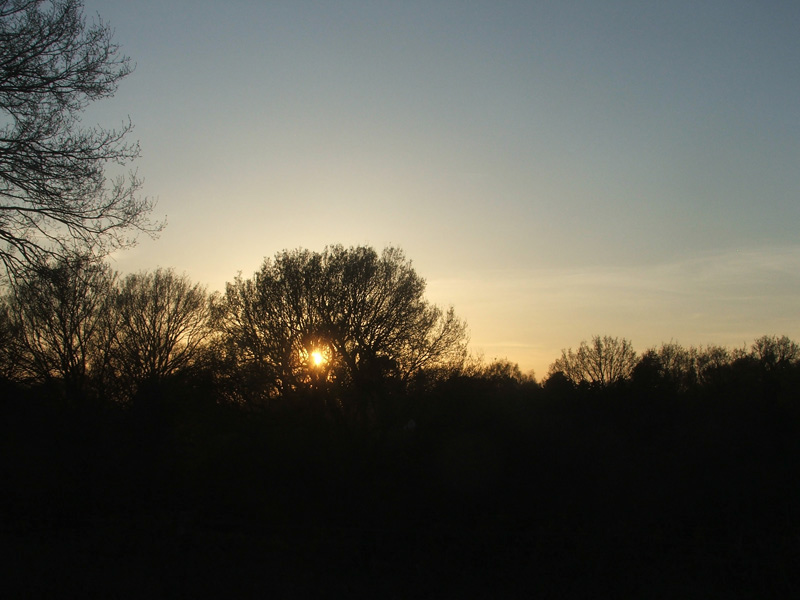 Sunset-NutbourneRoad