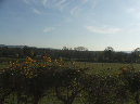 The rolling hills of the South Downs viewed from Nutbourne, West Sussex