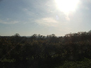 SouthDownsView2