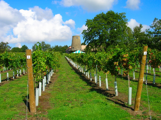 Nutbourne Manor's elegant windmill. (Reproduced under a Creative Commons Licence, courtesy of the photographer, Simon Carey and 'Geograph' 