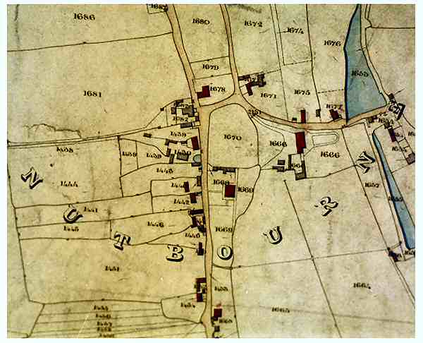 A Tithe Map showing the division of land in the Pulborugh area in 1841 (Copyright: Jack Pedley)