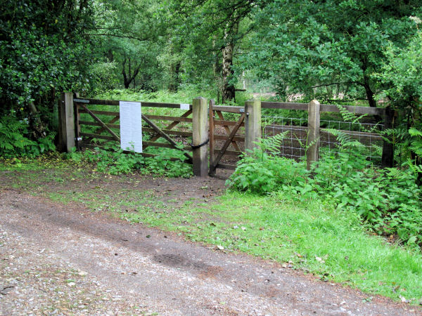 New gates and fences to the Recreation Ground, pictured in 2008