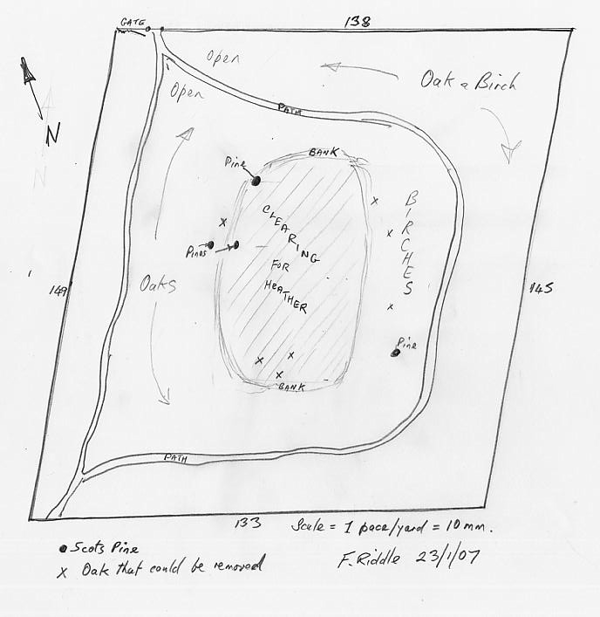 A rough sketch of the forestry and renovation work undertaken at the Nutbourne Recreation Ground